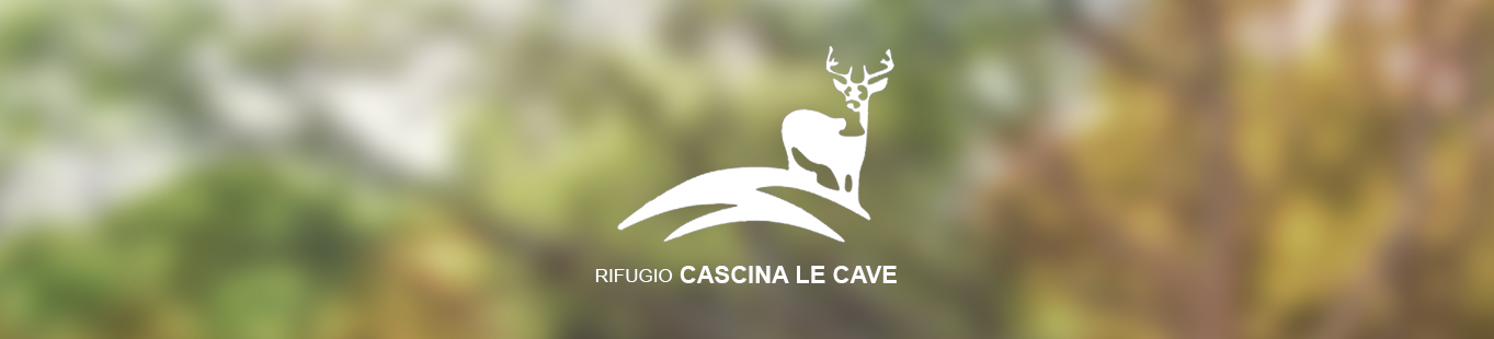 cave