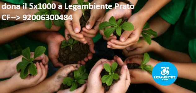 banner lega