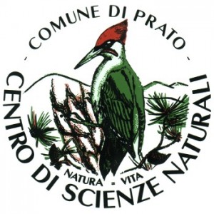 logo-csn