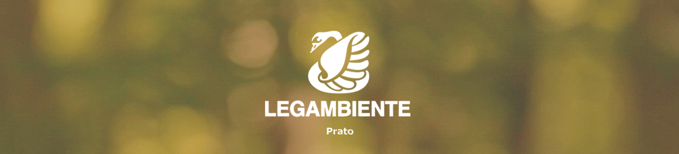 banner lega