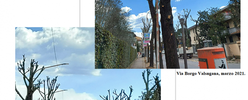 Colagem com 2 Fotos Moderno Seu Story_indi